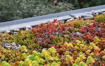 the cost of Rye Foreign green roof installation