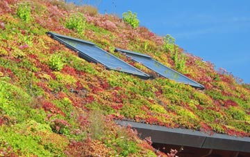 Rye Foreign living roof systems